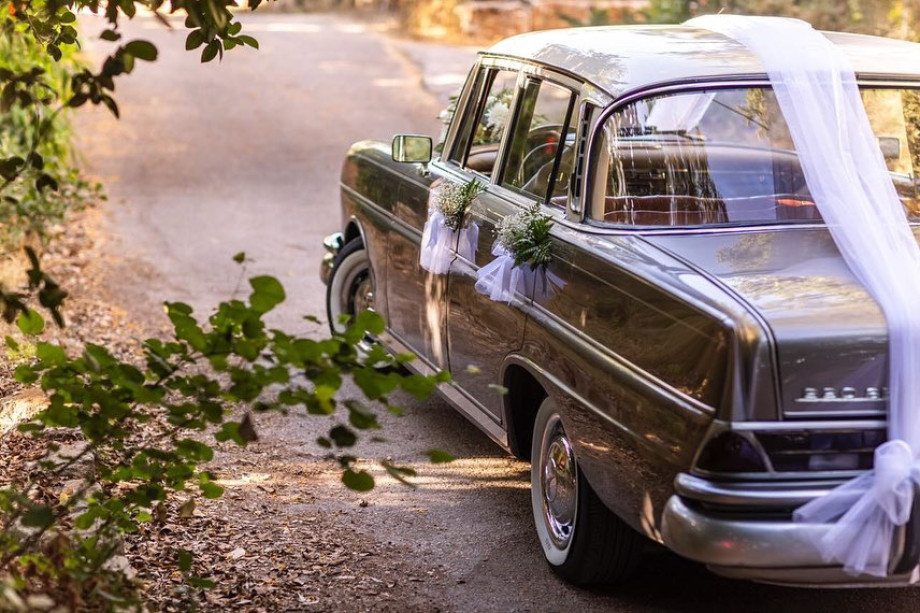 WhatsApp Image 2023-01-12 at 17.00.31 (1).jpeg